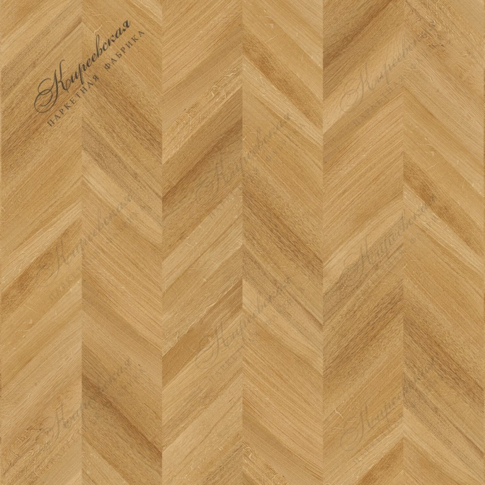 Радиал Франц