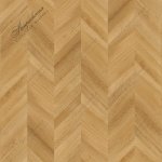 Радиал Франц