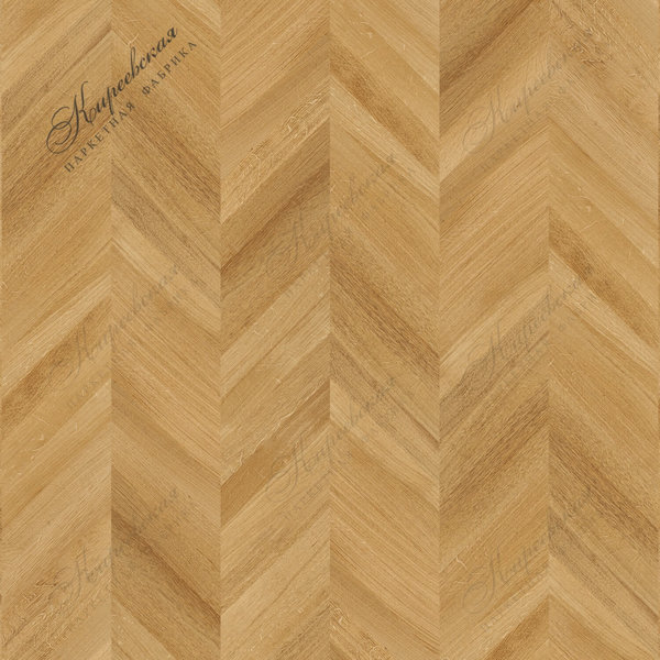 Радиал Франц