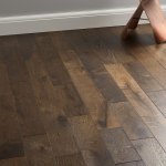 дуб корица 1