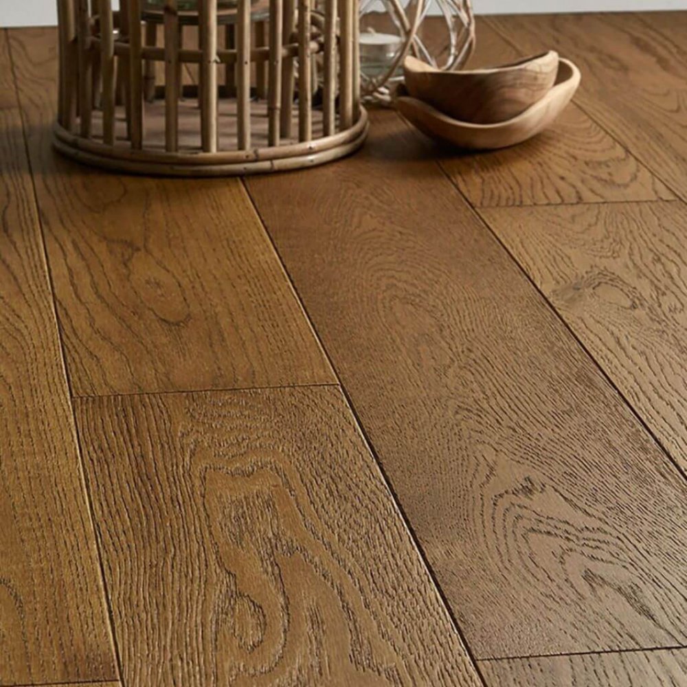 дуб робуста 1