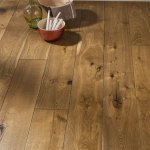 Дуб бадьян 1