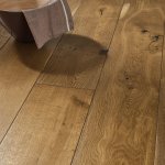 Дуб бадьян 2