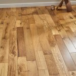 Дуб зерновой 1