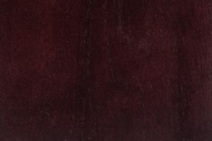 Дуб цвета Бордо