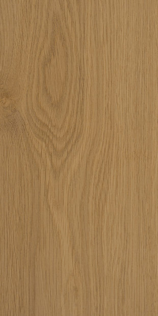 Дуб цвет Чистый