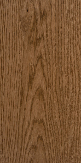 Дуб цвет Джорджия