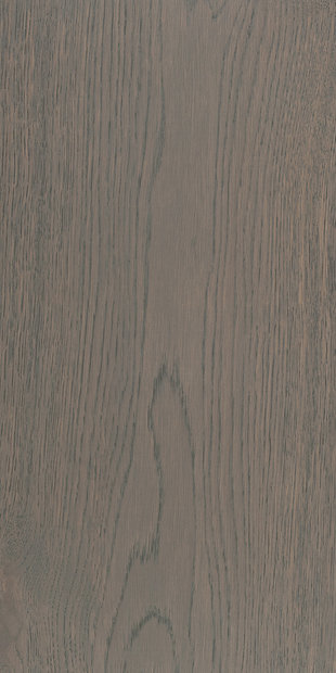 Дуб цвет Дымчатый