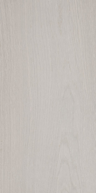 Дуб цвет Иней