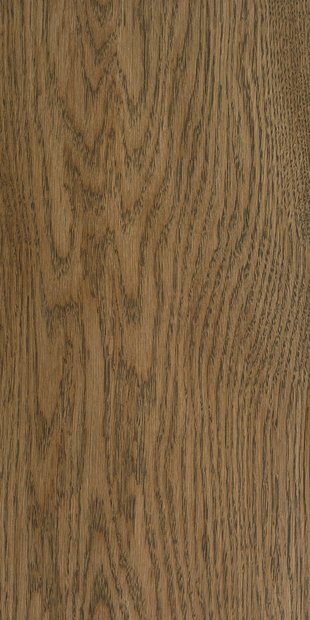 Дуб цвет Кориандр