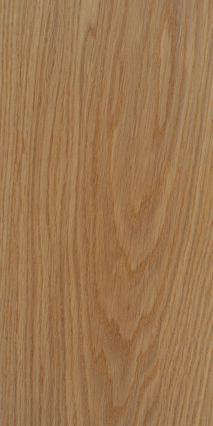 Дуб цвет Медовый