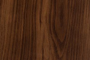 Дуб цвета Миндаль