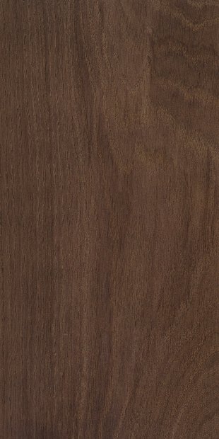 Дуб цвет Морозный каштан