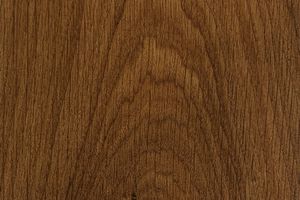 Дуб цвета Мускат