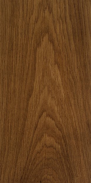 Дуб цвет Мускат