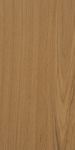 Дуб цвет Охра