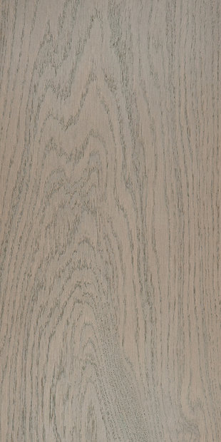 Дуб цвет Призрачный