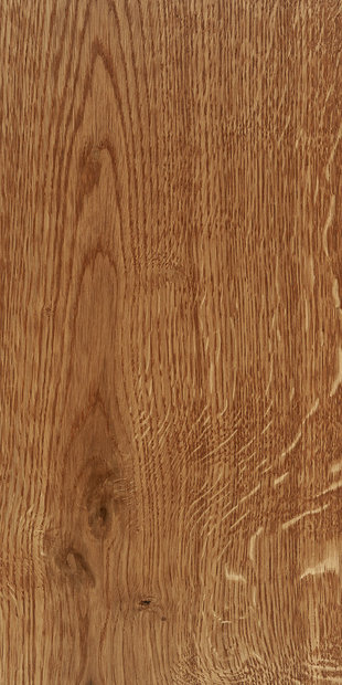 Дуб цвет Пряный