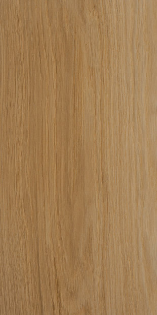 Дуб цвет Рамария золотистая