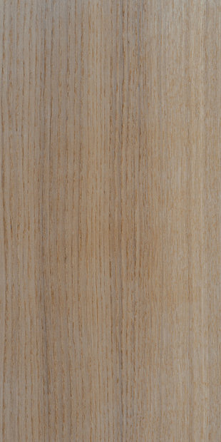 Дуб цвет Савоярди