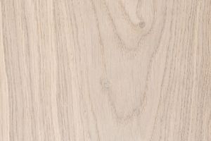 Дуб цвета Шампань