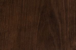 Дуб цвета Тирамису