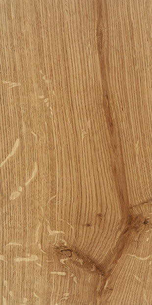 Дуб цвет Зерновой