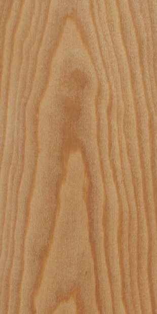 Лиственница