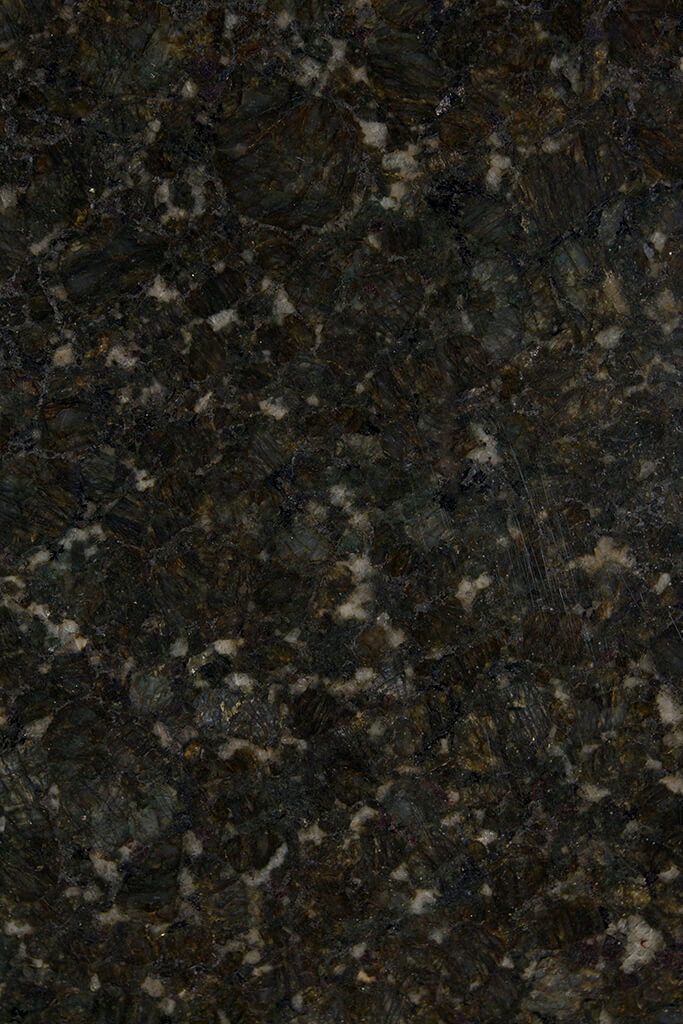  Brazil butterfly green